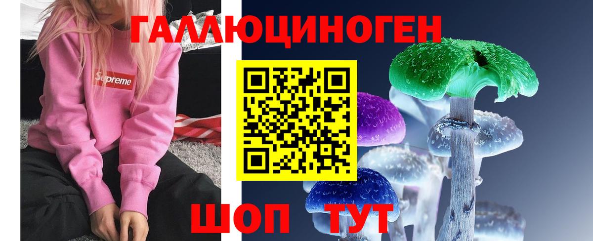 Осинники  Псилоцибиновые грибы прущие грибы  Вход с VPN  Псилоцибиновые грибы GOLDEN TEACHER 