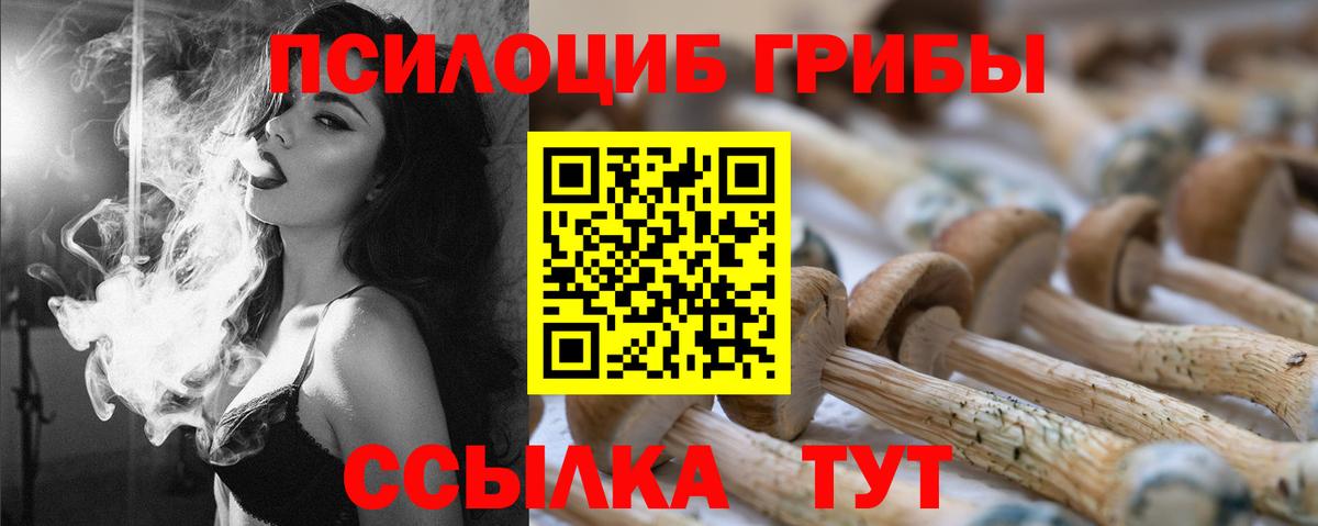 Псилоцибиновые грибы GOLDEN TEACHER Осинники